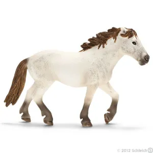 Camargue Mare